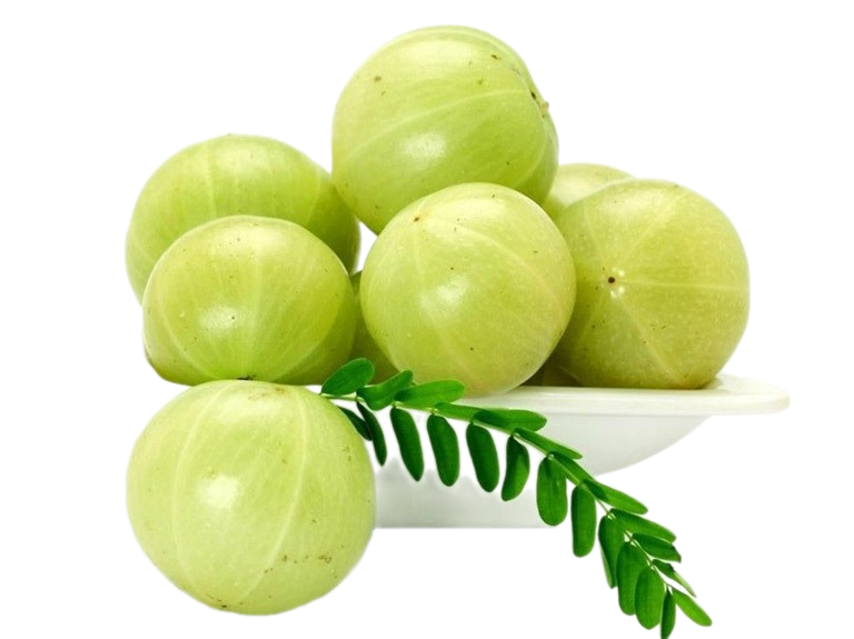 Me rừng xanh