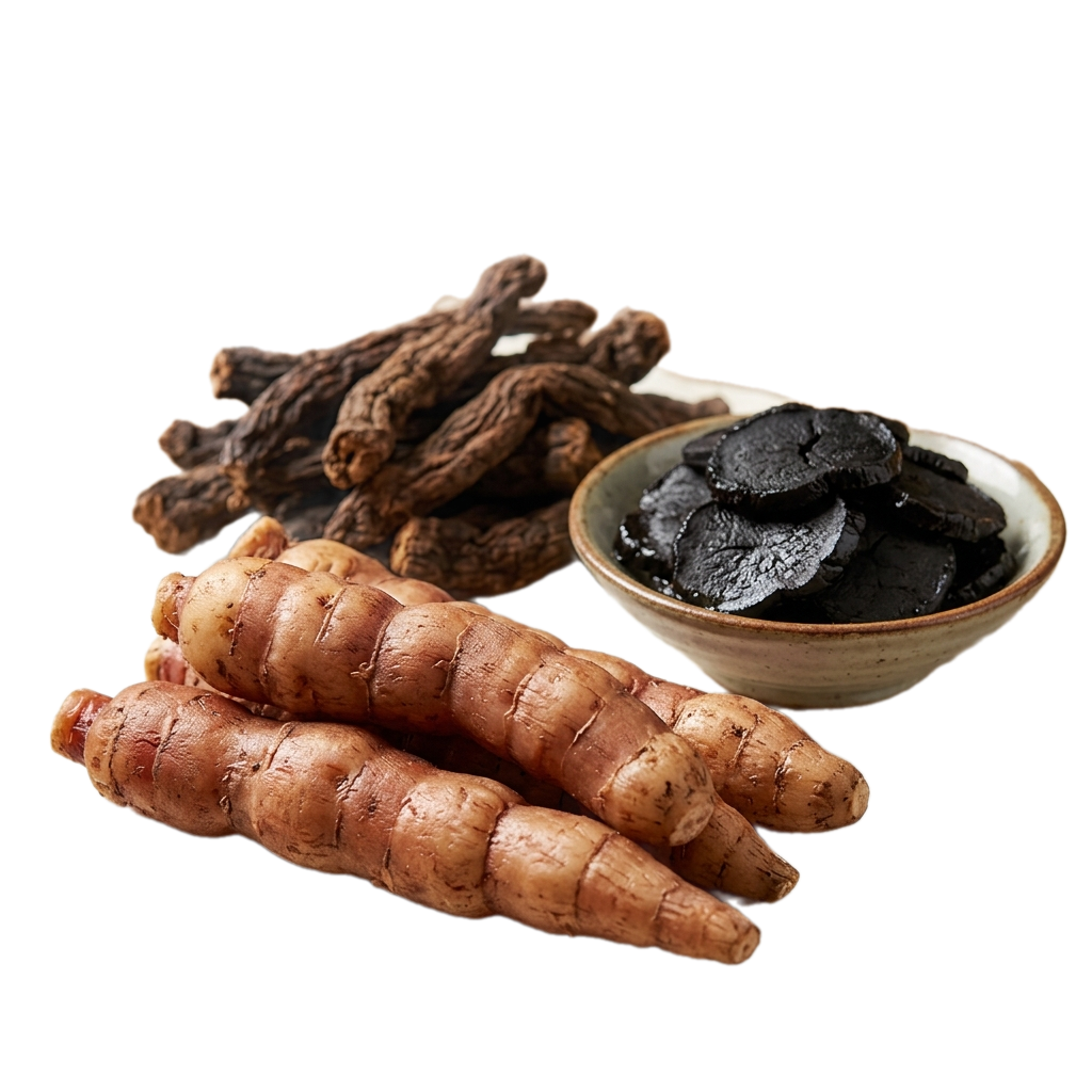 Rễ địa hoàng